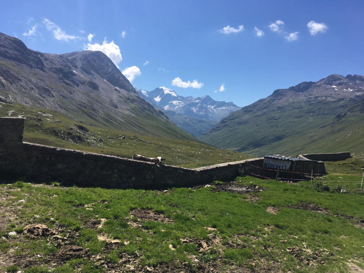 Chesa Viletta La Punt-Chamues-ch Exteriör bild