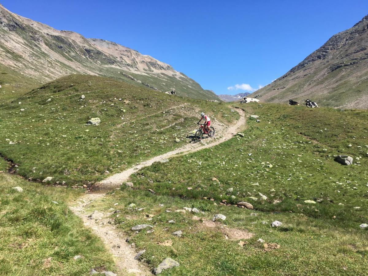 Chesa Viletta La Punt-Chamues-ch Exteriör bild