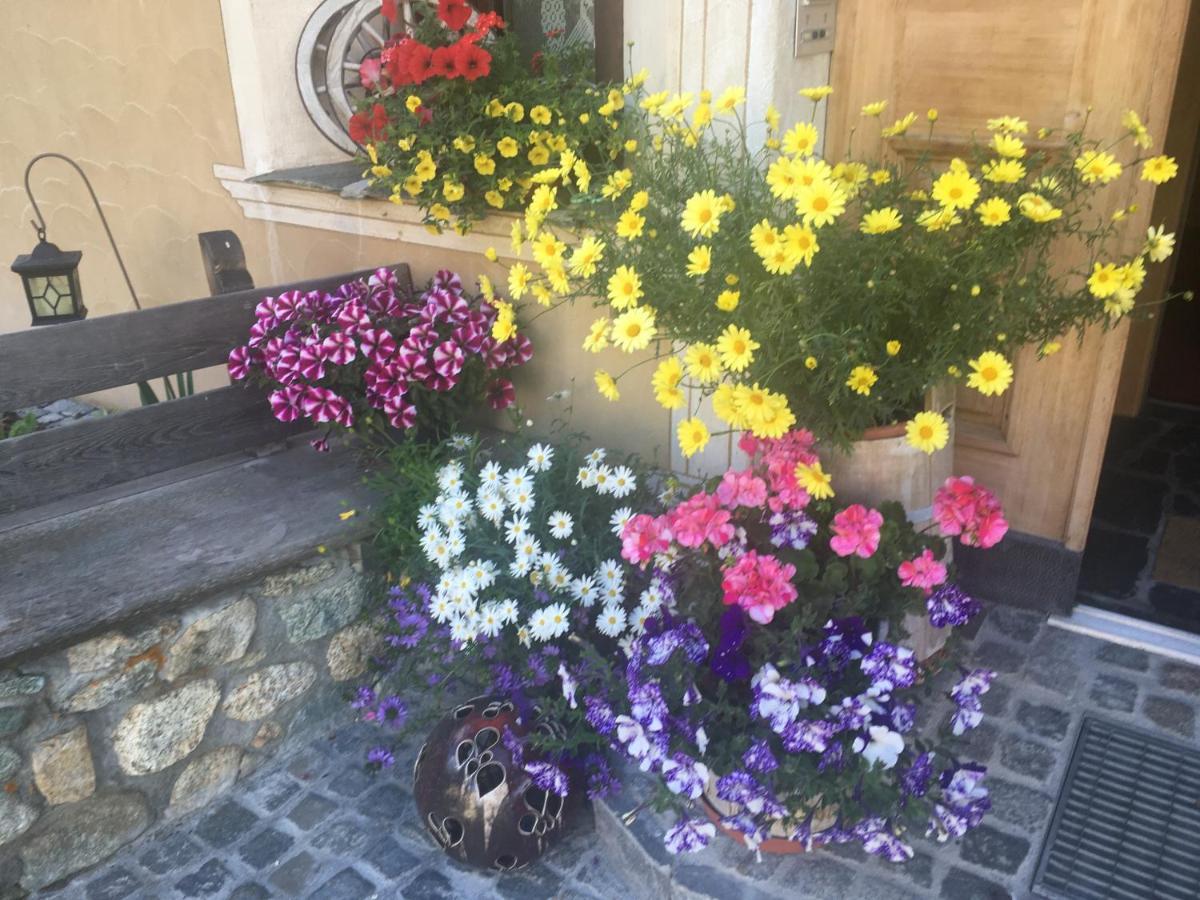 Chesa Viletta La Punt-Chamues-ch Exteriör bild