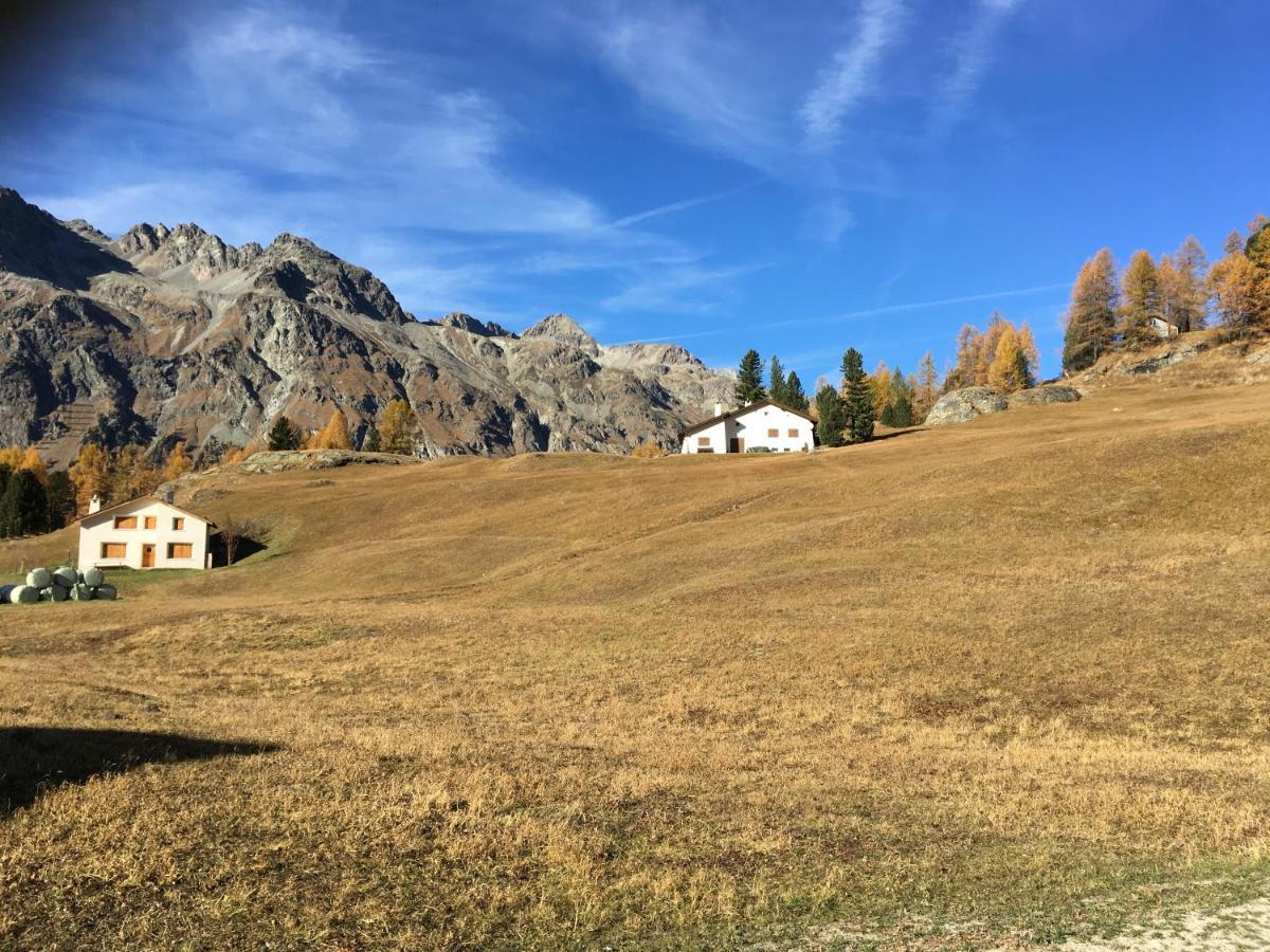 Chesa Viletta La Punt-Chamues-ch Exteriör bild