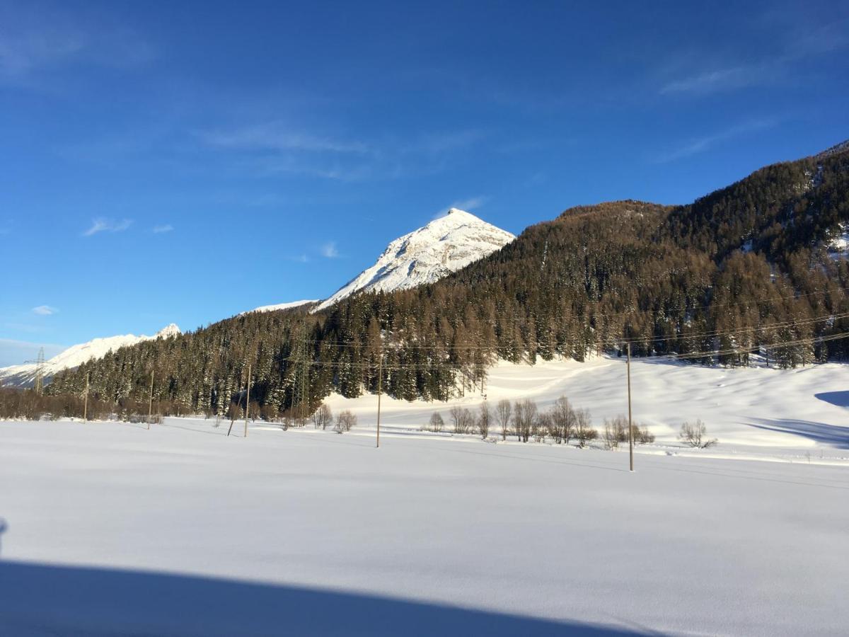 Chesa Viletta La Punt-Chamues-ch Exteriör bild